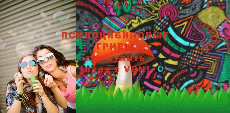 Псилоцибиновые грибы Magic Shrooms  как найти наркотики  Кирово-Чепецк 